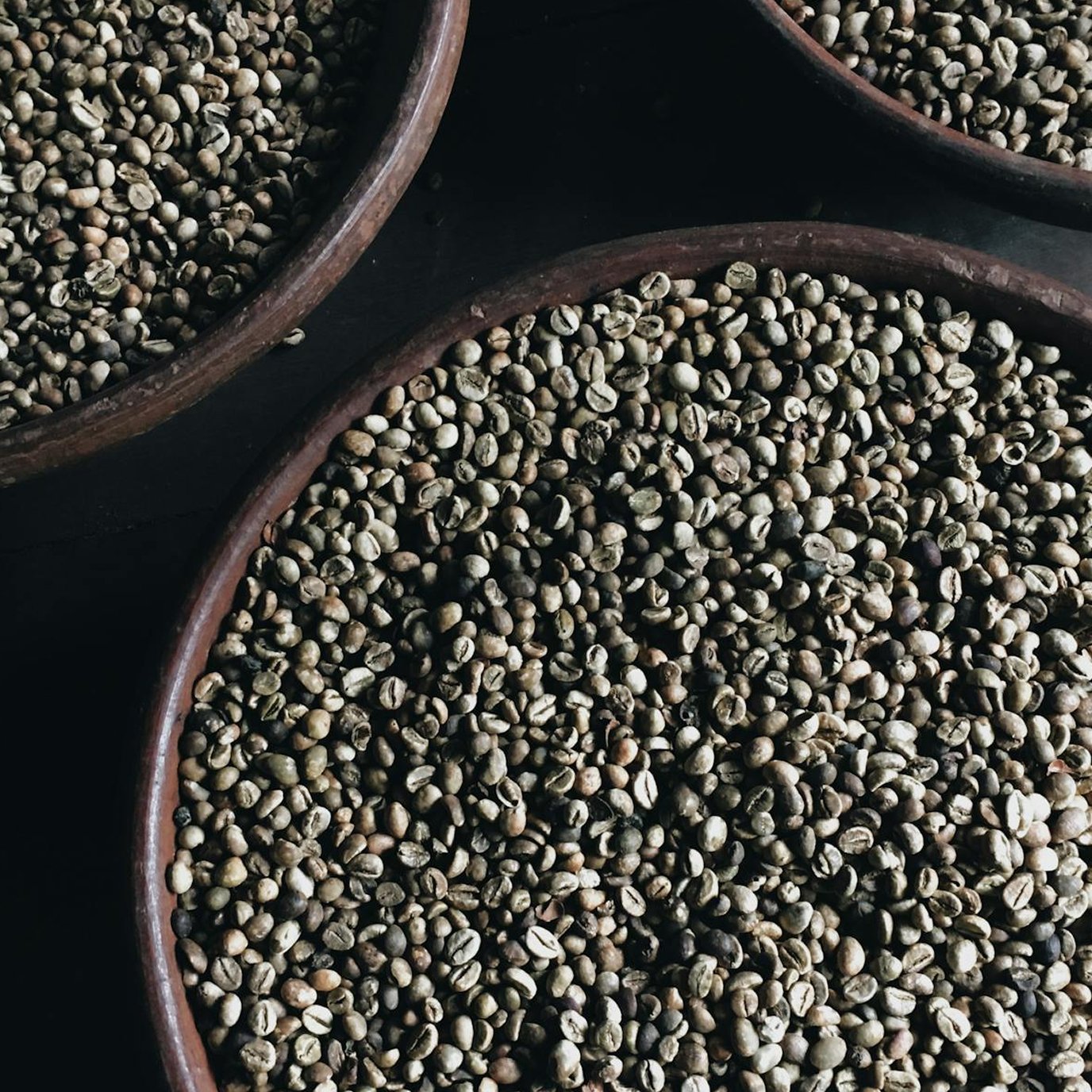Coffee Bean